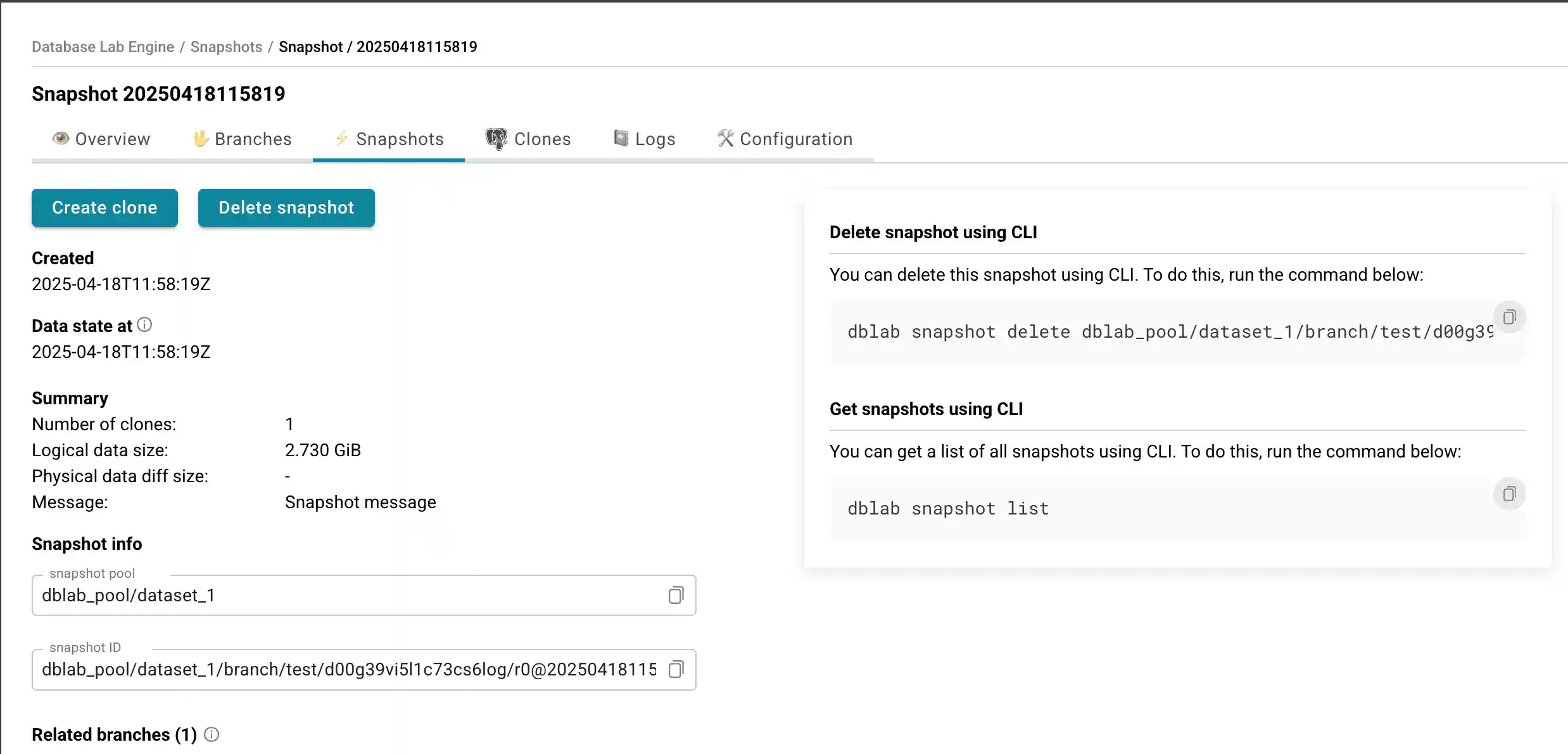 Database Lab instance page / Create snapshot