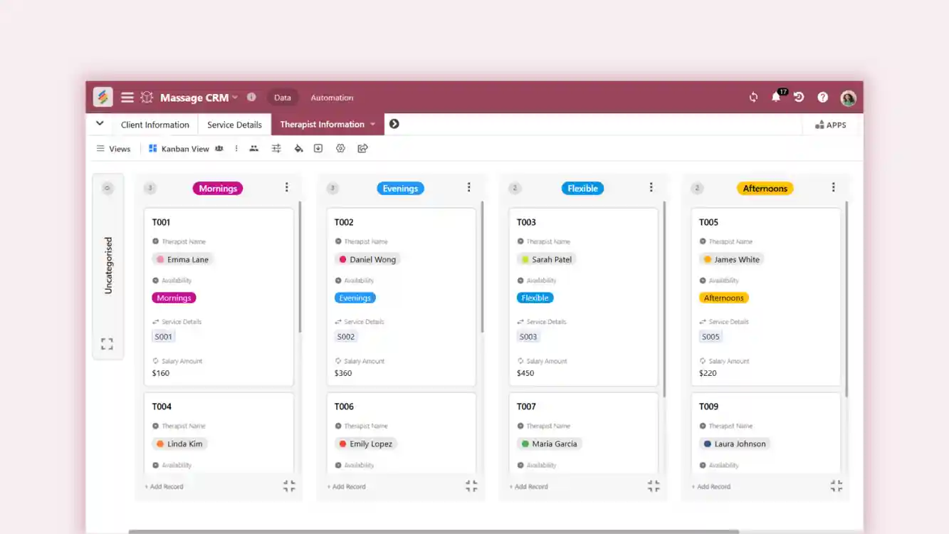 Massage CRM template for client management and service tracking. Templates