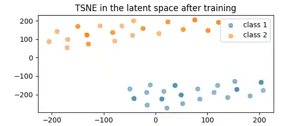 TSNE in the latent space after training