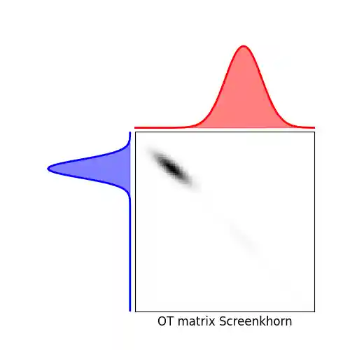OT matrix Screenkhorn