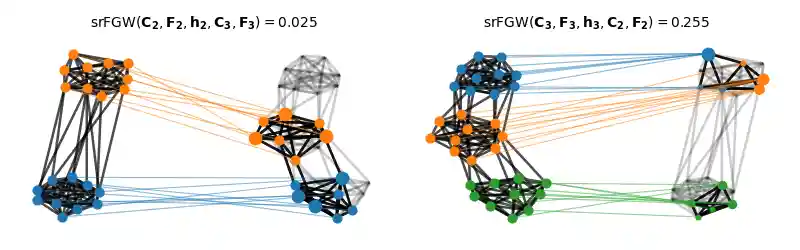 srFGW$(\mathbf{C_2},\mathbf{F_2},\mathbf{h_2},\mathbf{C_3},\mathbf{F_3}) =0.025$, srFGW$(\mathbf{C_3}, \mathbf{F_3}, \mathbf{h_3}, \mathbf{C_2}, \mathbf{F_2}) =0.255$