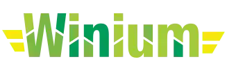 Winium.Desktop is Selenium Remote WebDriver implementation for automated testing of Windows application based on WinForms and WPF platforms