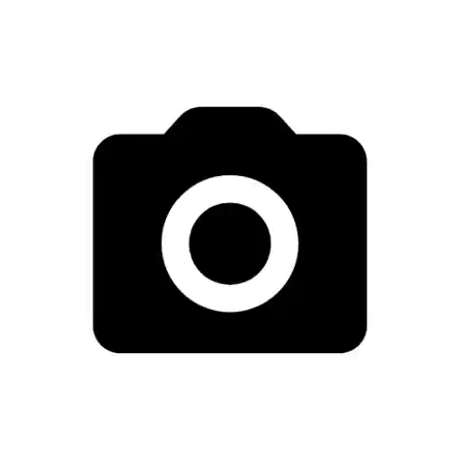 GrapheneOSCameraIcon