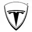 tesla icon