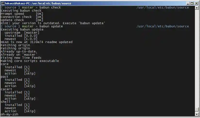 babun - a Windows shell you will love!