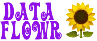 Dataflowr