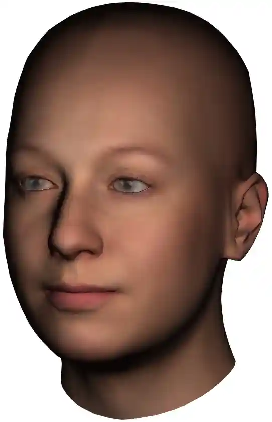 4D Face Model colour picture