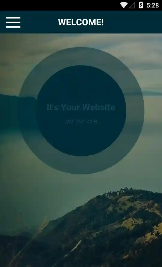 Your Web App or Website in native webview