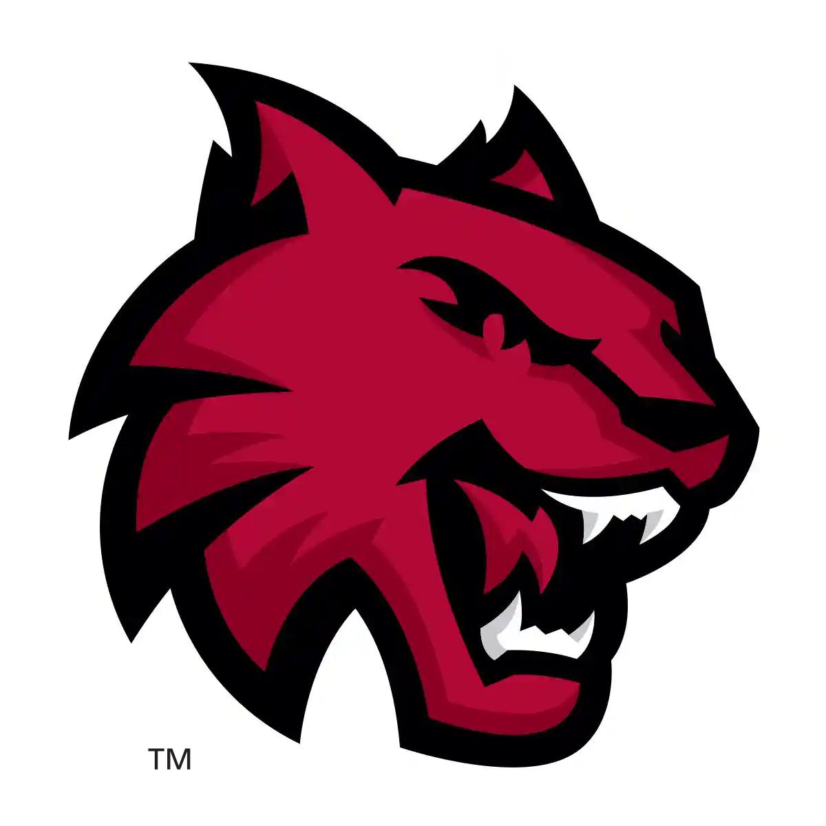 Wildcat Logo