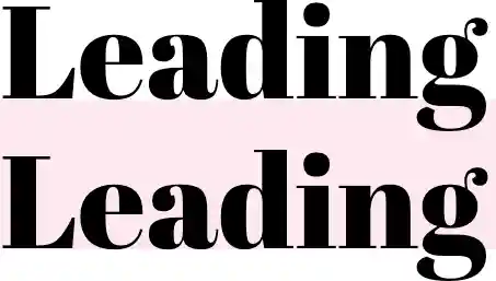 Leading Highlighting the leading