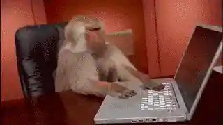 Code Monkey