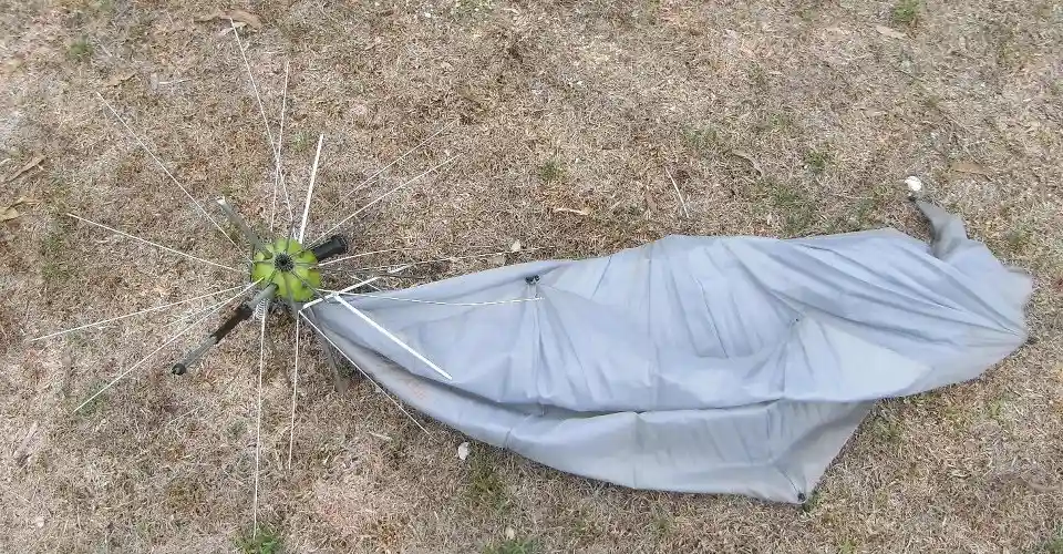 An apple with pieces of an umbrella poking through it.
