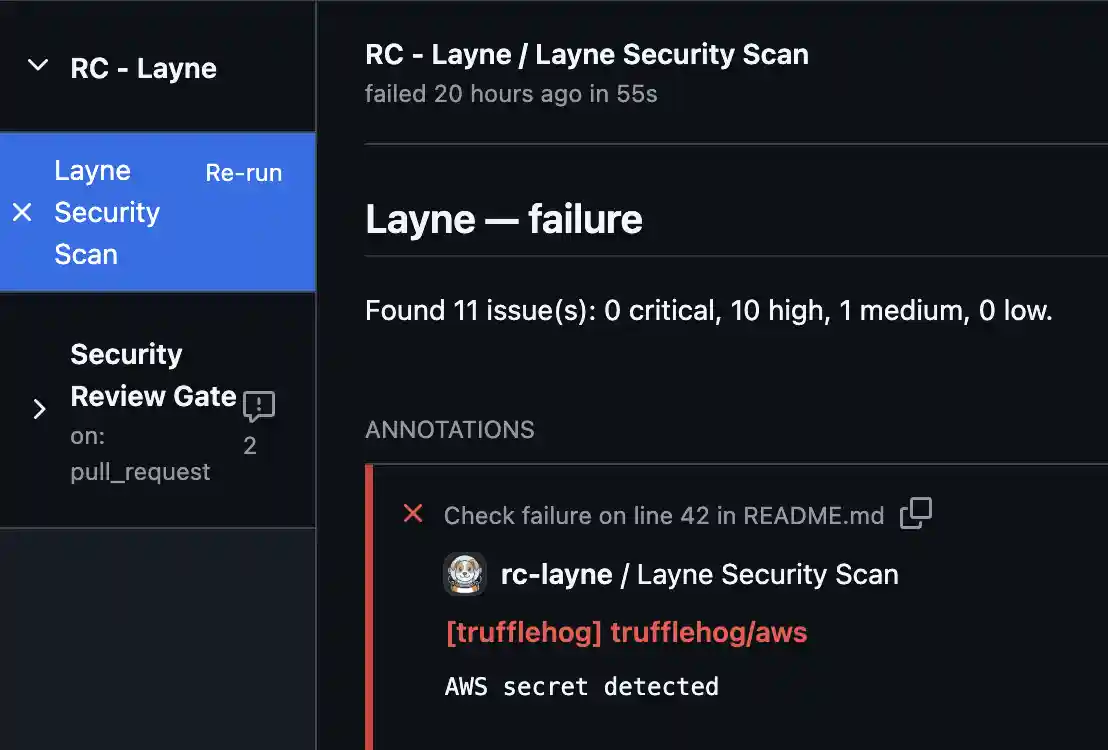 Layne check run summary showing findings broken down by severity
