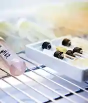 Glycobiology Research and Training Center