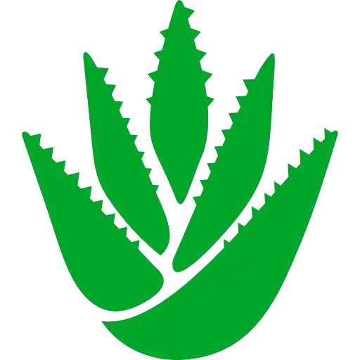 fairy-icon