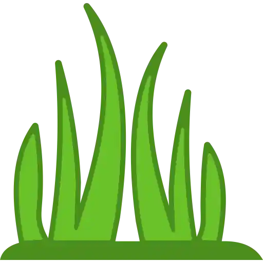 fairy-icon