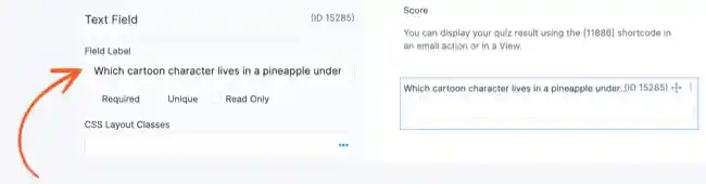Quiz maker Scored text