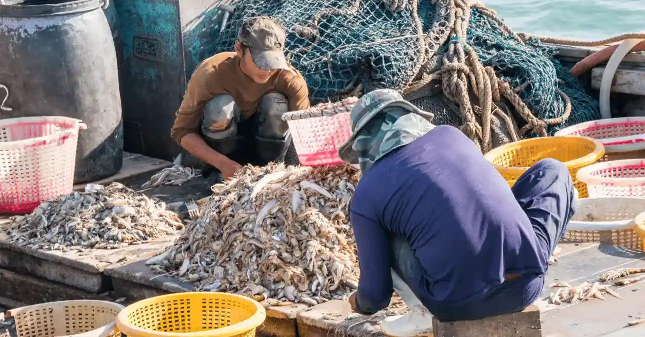 People-Smuggling Image