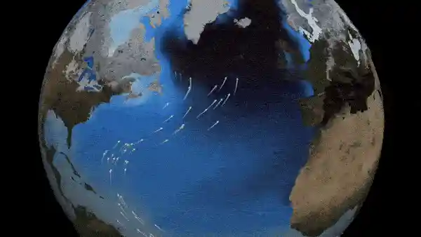 Animation of the gulf stream through out the earth.