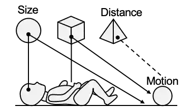 L1: low-level perception