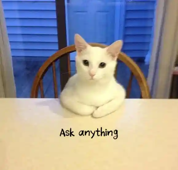 [Answer] Tracking status of of learning