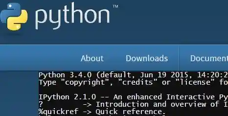 Python.org Online Interpreter