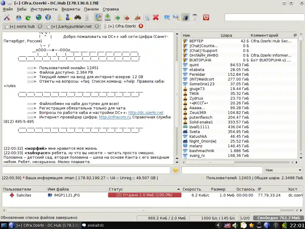 eiskaltdcpp-qt_dc.ozerki.net.png