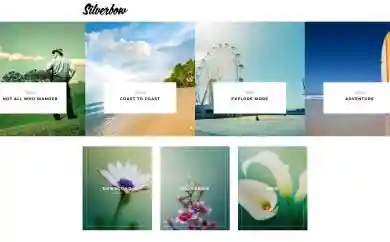 WordPress Silverbow theme