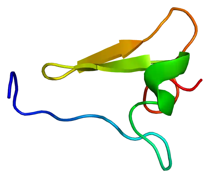 File:Protein ITGB2 PDB 1l3y.png