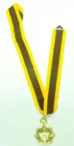 Regalia of a KCR is a neck ribbon of the Order