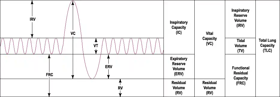 Output of a 'spirometer'
