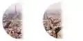 Paris as seen with right homonymous hemianopsia