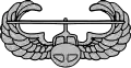 Air Assault Badge