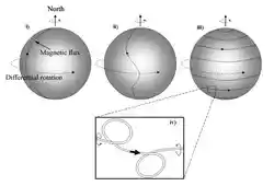 A diagram showing the evolution of the solar magnetic flux over one solar cycle