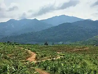 Mount Ledang, a large inselberg in the state of Johor, Malaysia