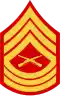 E-8 insignia