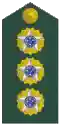 Brazil (coronel)