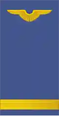 Sub-tenente (National Air Force of Angola)[5]