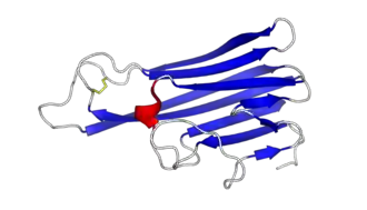 Render of structure of a single TNF monomer.