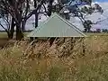 Scar tree stump protected by shelter, Newell Highway, south of Dubbo