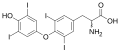 Thyroxine