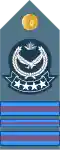 Master warrant officer