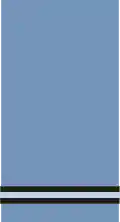 An RAF flying officer's shoulder insignia