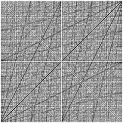 Dyadic transformationxy plot where x = x0 ∈ [0, 1] is rational and y = xn for all n