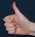 1 = 1