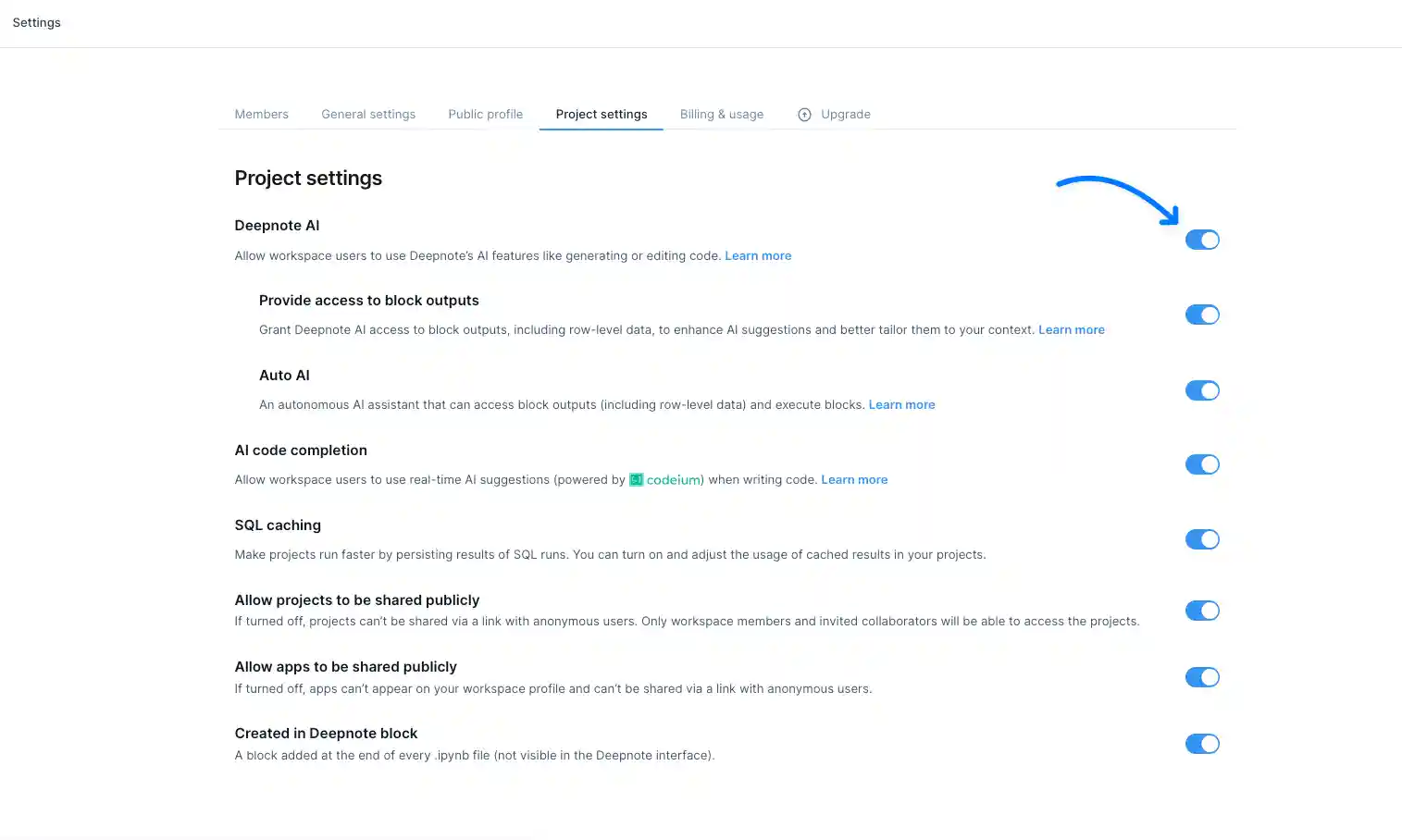 deepnote ai main settings.png