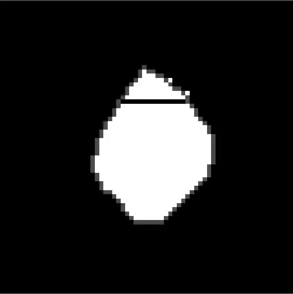 Screen Shot 2022-06-07 at 11 47 36 AM