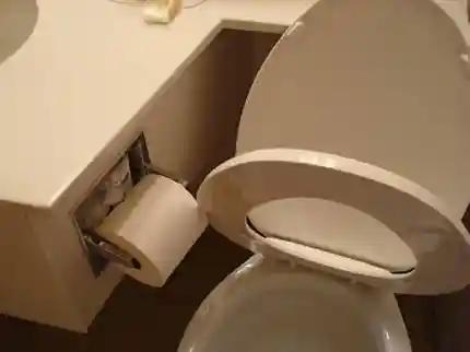 Toilet Roll Blocks Seat FAIL