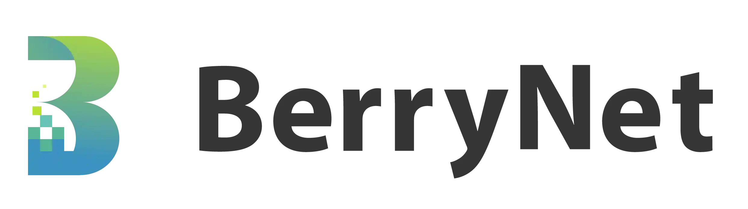 BerryNet Logo