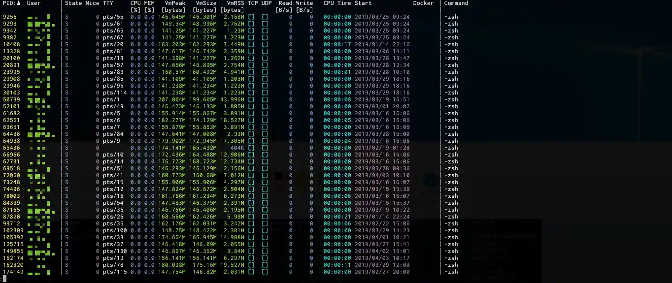 procs_zsh